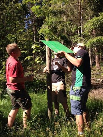 Projekt Waldlehrpfad